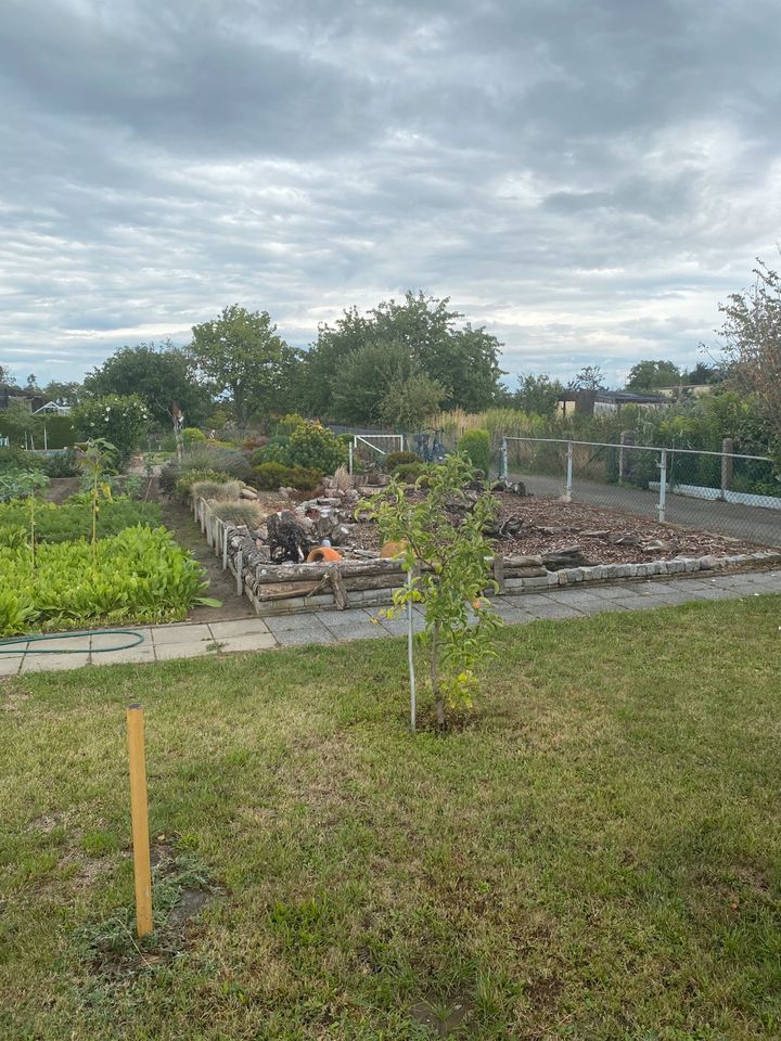 Kleingarten/Schrebergarten in Schkeuditz