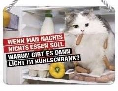 Kulthänger Blechschild Nasch Katze Küche Geschenk Kühlschrank NEU in Gau-Algesheim