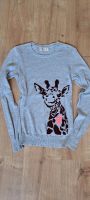 Hollister Pullover Gr.XS Brandenburg - Bad Liebenwerda Vorschau