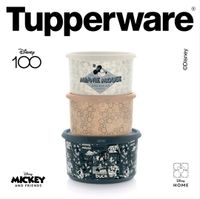 Tupperware Limited Edition Mickey Minnie Mouse Maus Disney Dosen Thüringen - Bleicherode Vorschau