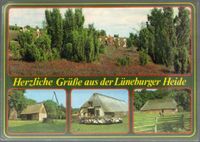 Postkarte Ansichtskarte / Lüneburger Heide von 1970 Mitte - Wedding Vorschau