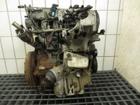 Opel Vectra C 1,9 CDTi Motor Z19DT 88KW/120PS Niedersachsen - Langwedel Vorschau