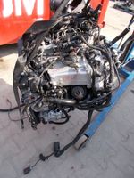 Motor Audi A4 A5 Q3 Q5 2.0 TDI DET DETA DETB 190PS KOMPLETT Sachsen - Torgau Vorschau