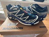 Salomon XT6 Gore-Tex Schuhe | Gr. 43 1/3 | Carbon, Vanilla Ice Friedrichshain-Kreuzberg - Kreuzberg Vorschau
