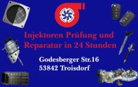 Injektoren Prüfung und Reparatur (Prüfung 25€ Stück) Nordrhein-Westfalen - Troisdorf Vorschau