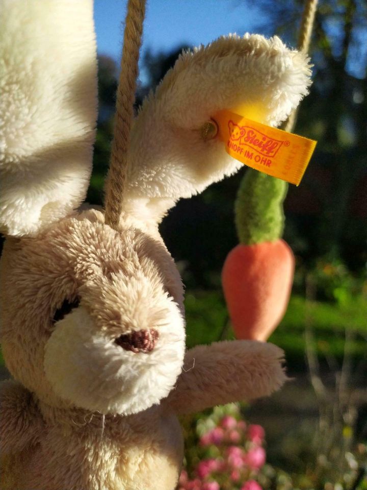 Steiff  Kaninchen Hase mit Rassel , 3  Möhren Mobile sehr süß in Großhansdorf