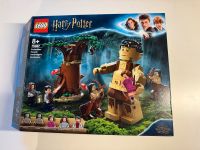 LEGO Harry Potter Forbidden Forest Bayern - Uttenreuth Vorschau