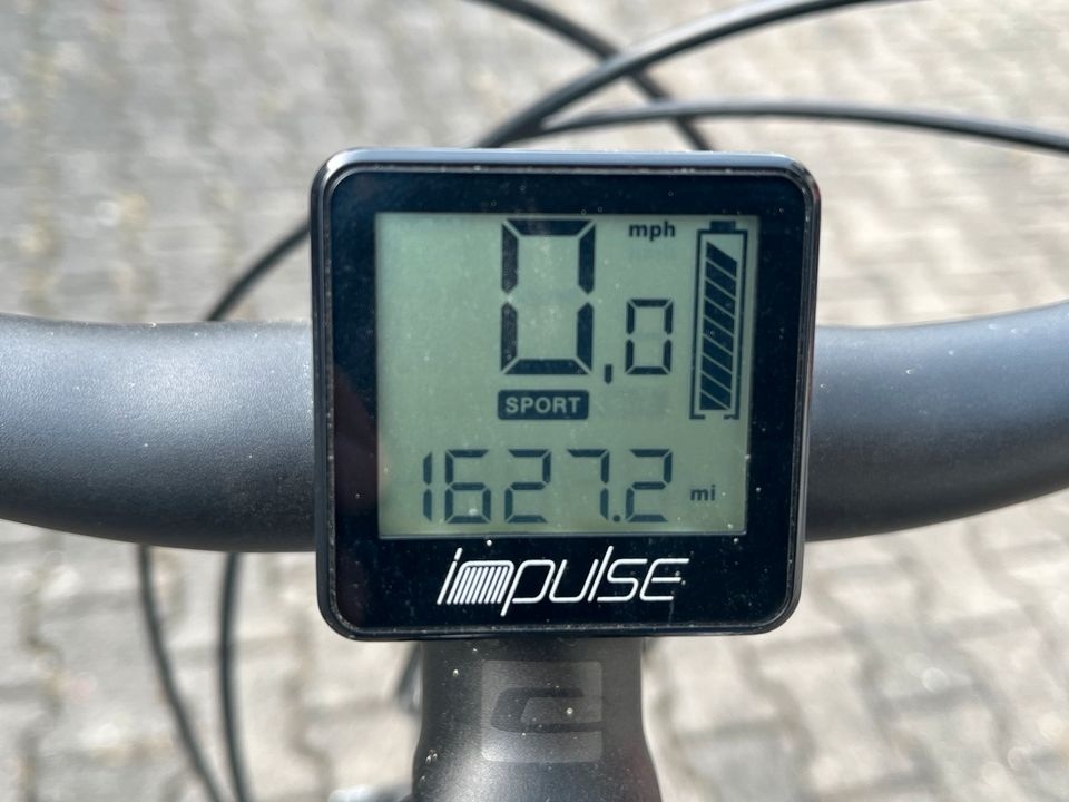 e bike pedelec Elektrofahrrad hohe Reichweite 250W / 80 Nm in Bad Saulgau