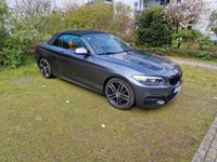 BMW M240i xDrive Steptronic Cabrio - mit AHK Rheinland-Pfalz - Speyer Vorschau