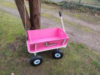 Bollerwagen Boller Wagen Pink kleiner Klopfer Brandenburg - Königs Wusterhausen Vorschau