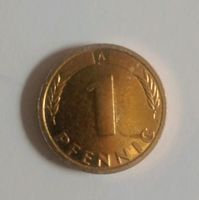 1 Pfennig 1996 goldfarbe. Fehlprägung ? Niedersachsen - Hemmingen Vorschau