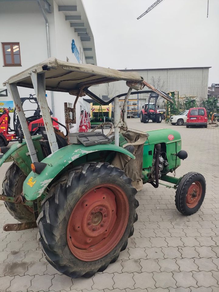 Deutz D 3005 Traktor Schlepper Deutz-Fahr in Chieming