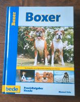 Praxisratgeber Boxer Hund Hunderasse bede Nordrhein-Westfalen - Hückelhoven Vorschau