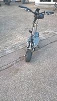 E-Scooter Elektroroller E-Flux Freeride X2 2500W Baden-Württemberg - Lahr (Schwarzwald) Vorschau