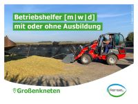 ☘️ Betriebshelfer [m|w|d] für die Landwirtschaft ☘️ Niedersachsen - Großenkneten Vorschau