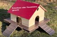 Entenhaus Hundehütte gesucht Sachsen - Oelsnitz / Vogtland Vorschau