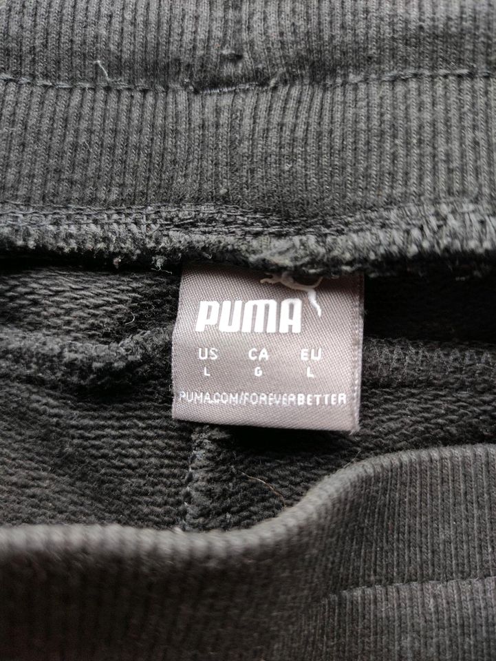 Puma Sweatshorts in schwarz Gr. L in Northeim