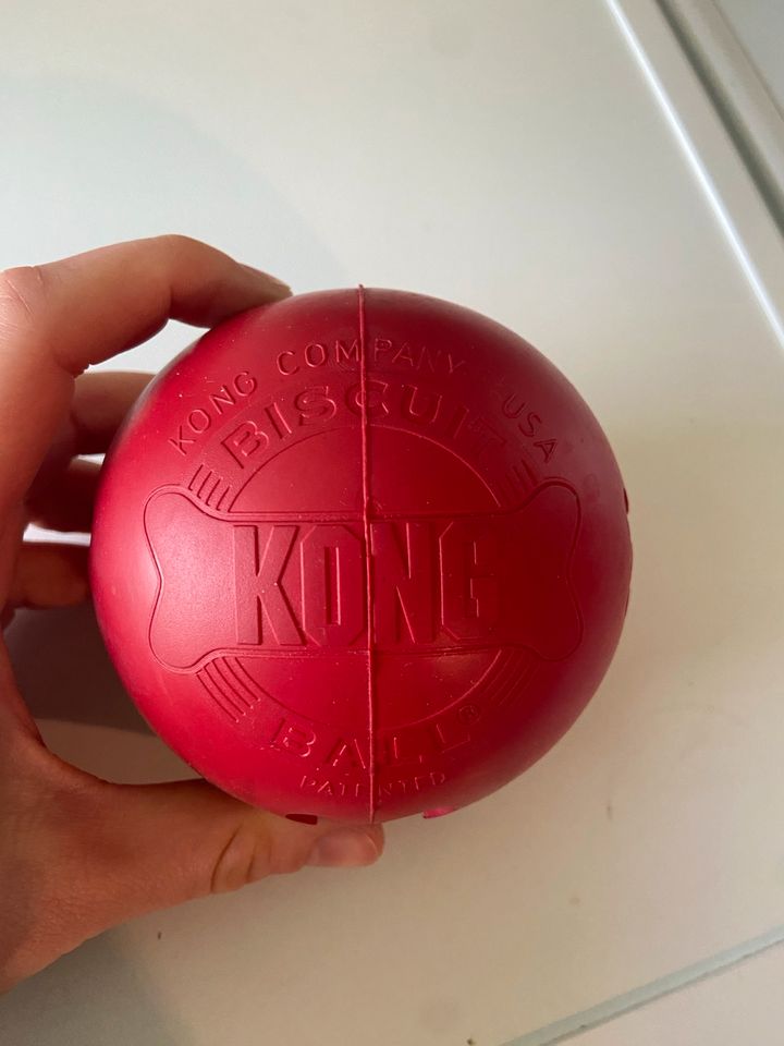 Kong biscuit Ball, Spielball Leckerli Hunde Hundezubehör in Düsseldorf