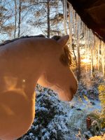 Wunderschönes Hobby Horse zu verkaufen Niedersachsen - Handeloh Vorschau