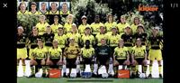 BVB Trikots FINDER GESUCHT Schleswig-Holstein - Trittau Vorschau