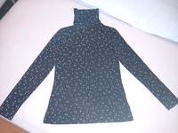 Rollkragen Shirt  S Niedersachsen - Rinteln Vorschau