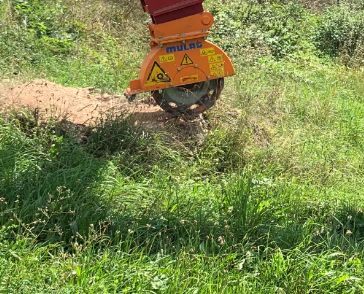 Wurzelstockfräsen Stubbenfräsen Baumstumpf enfernen Fräsen Bagger in Bonndorf