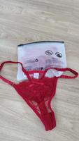 Roter Tanga Bayern - Regensburg Vorschau