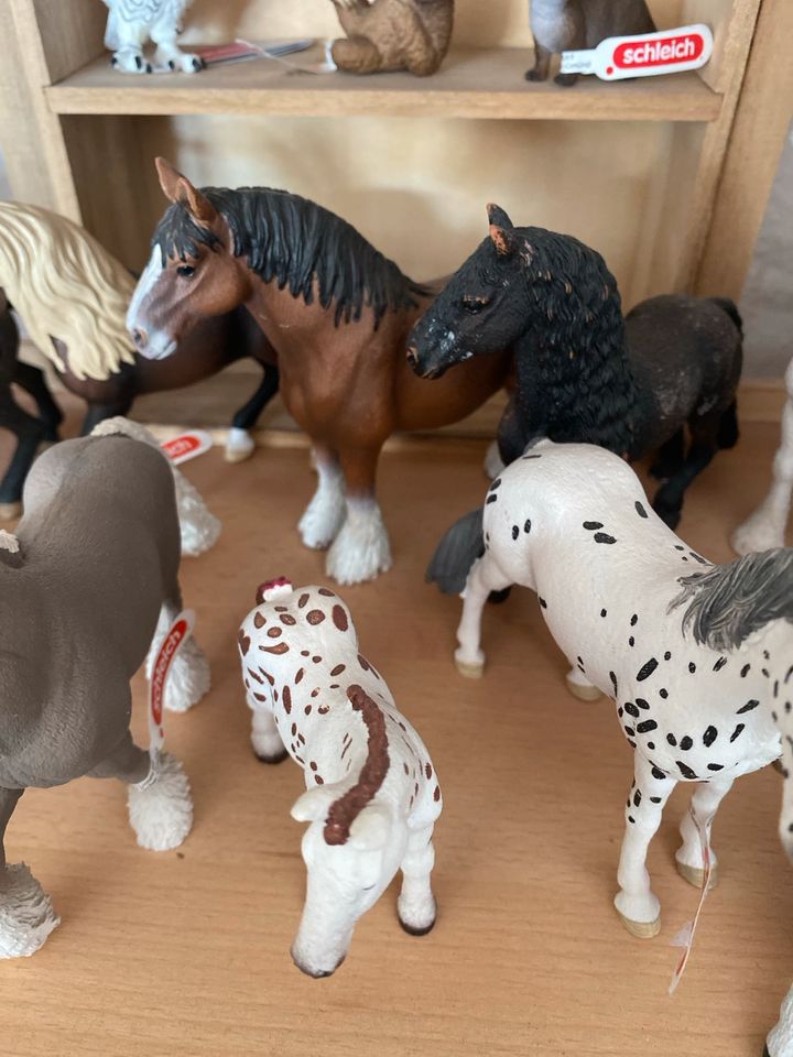 Sammlungsauflösung Schleich Pferde in Euskirchen