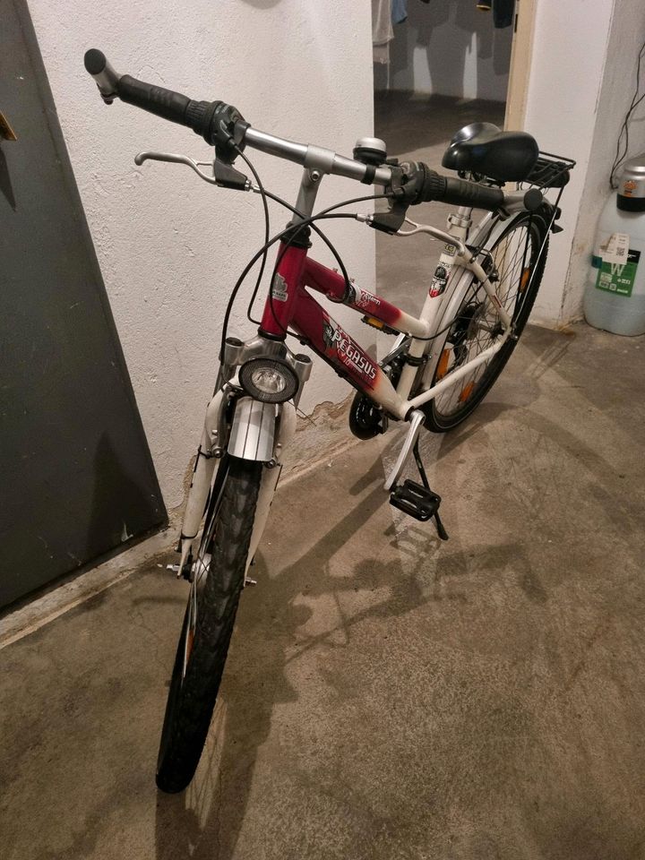 Pegasus Avanti Kinder Fahrrad 26 Zoll in Straubing