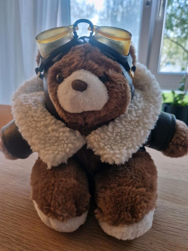 Flieger-Teddybär in Kiel