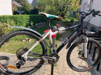 Mountain Bike 17,5 Zoll Baden-Württemberg - Ehrenkirchen Vorschau