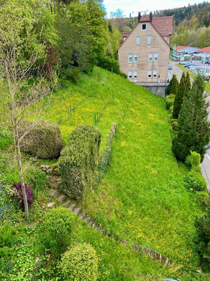 Bauplatz 736 m² in Altensteig MFH in zentraler Südhanglage in Altensteig