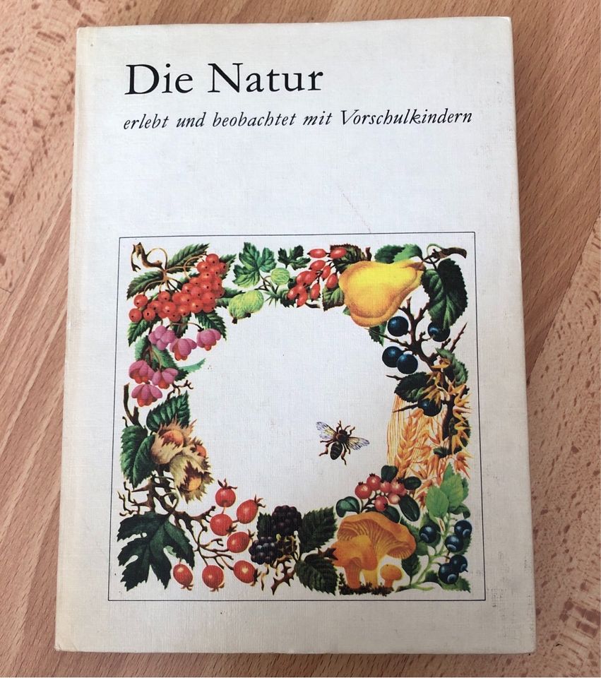 Altes DDR Buch: Die Natur, Pädagogik, Vorschulkinder in Berlin