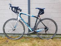 Focus Izalco Ergo 3.0, Carbonrahmen Schleswig-Holstein - Bargfeld-Stegen Vorschau