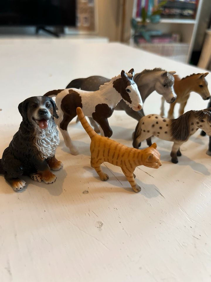 Schleich Tiersammlung Pferde Katzen Hunde in Berlin