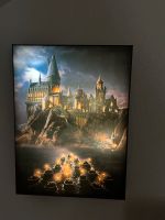 Harry Potter Lichtbild Baden-Württemberg - Gerstetten Vorschau
