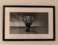 Wandbild Retro Vintage "Elefant" Schwarz Weiss 63x42 cm Baden-Württemberg - Göppingen Vorschau