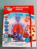 Wissen Buch Der menschliche Körper Biologie Sachsen - Chemnitz Vorschau