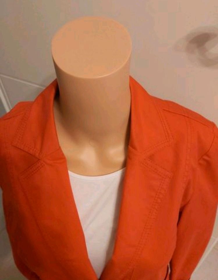 STEILMANN BLAZER in Lengede