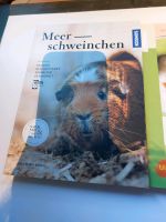 Meerschweinchen Fachbücher Wuppertal - Oberbarmen Vorschau