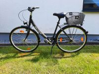 28 Zoll Damenfahrrad Nordrhein-Westfalen - Bünde Vorschau