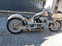 Harley Davidson Costum Bike Unikat Pro Street Low Rider Saarland - Ottweiler Vorschau