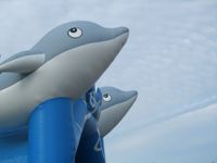 Tolle Hüpfburg "fröhliche Delfine" für Kindergeburtstag Nordrhein-Westfalen - Hüllhorst Vorschau