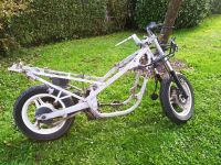 Kawasaki GPZ 500 S EX500A Rahmen mit Papiere Fahrzeugschein Brief Baden-Württemberg - Bad Schussenried Vorschau