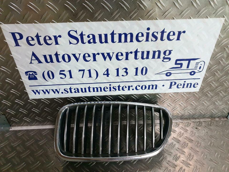 Original BMW 5er F10 F11 Kühlergrill Niere links gebr 51137203649 in Peine