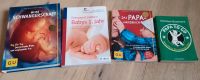 Bücher Schwangerschaft/Baby/Papa Brandenburg - Falkensee Vorschau