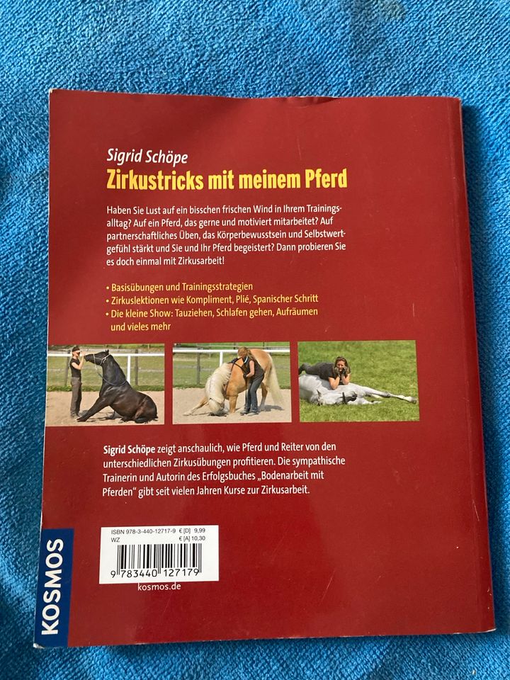 5 tolle Bücher PFERDE Ausbildung Lernen Training Spaß und Wissen in Schönefeld