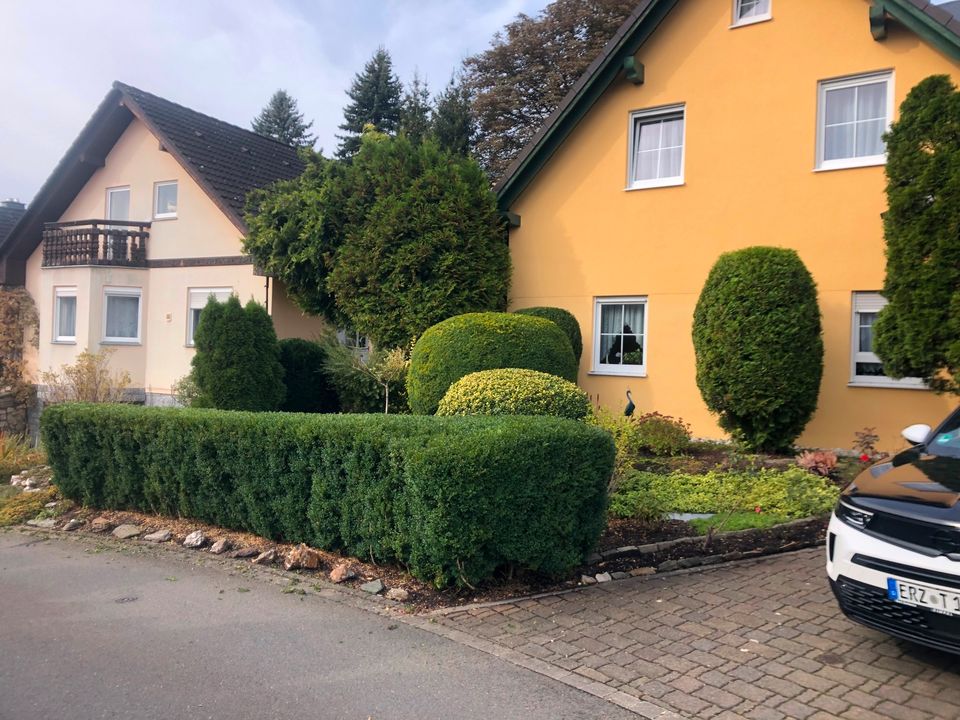 Grünpflege, Hecke schneiden, Mäharbeiten, Gartenbau, Beratung in Jößnitz