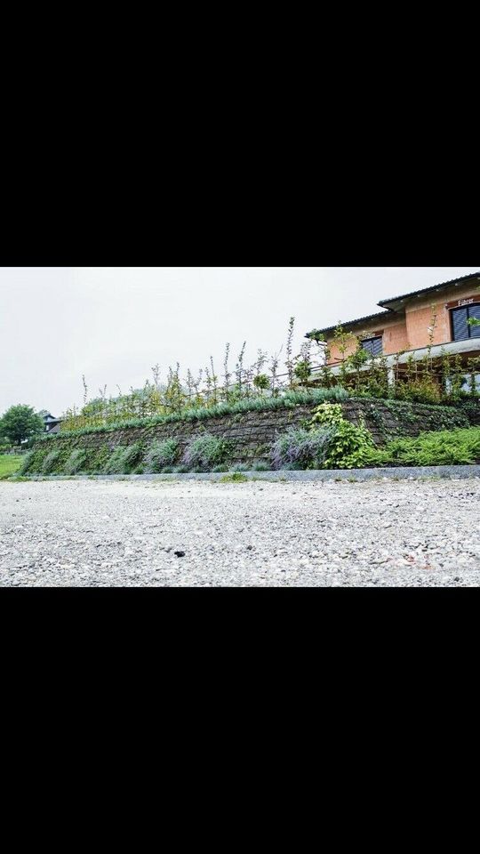 Garten & Landschaftsbau / Bagger Arbeiten / Bewehrte Erde in Bad Blankenburg