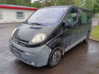 Opel Vivaro Kombi L1H1 2,7t Baden-Württemberg - Lahr (Schwarzwald) Vorschau